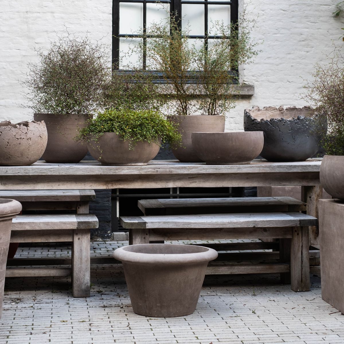 Terracotta d'Arte Conca Bassa Liscia pot