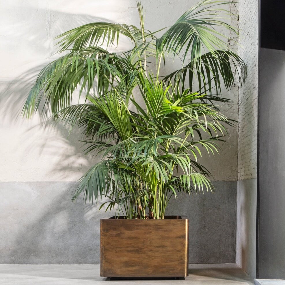 Brass Square Weathered Planters