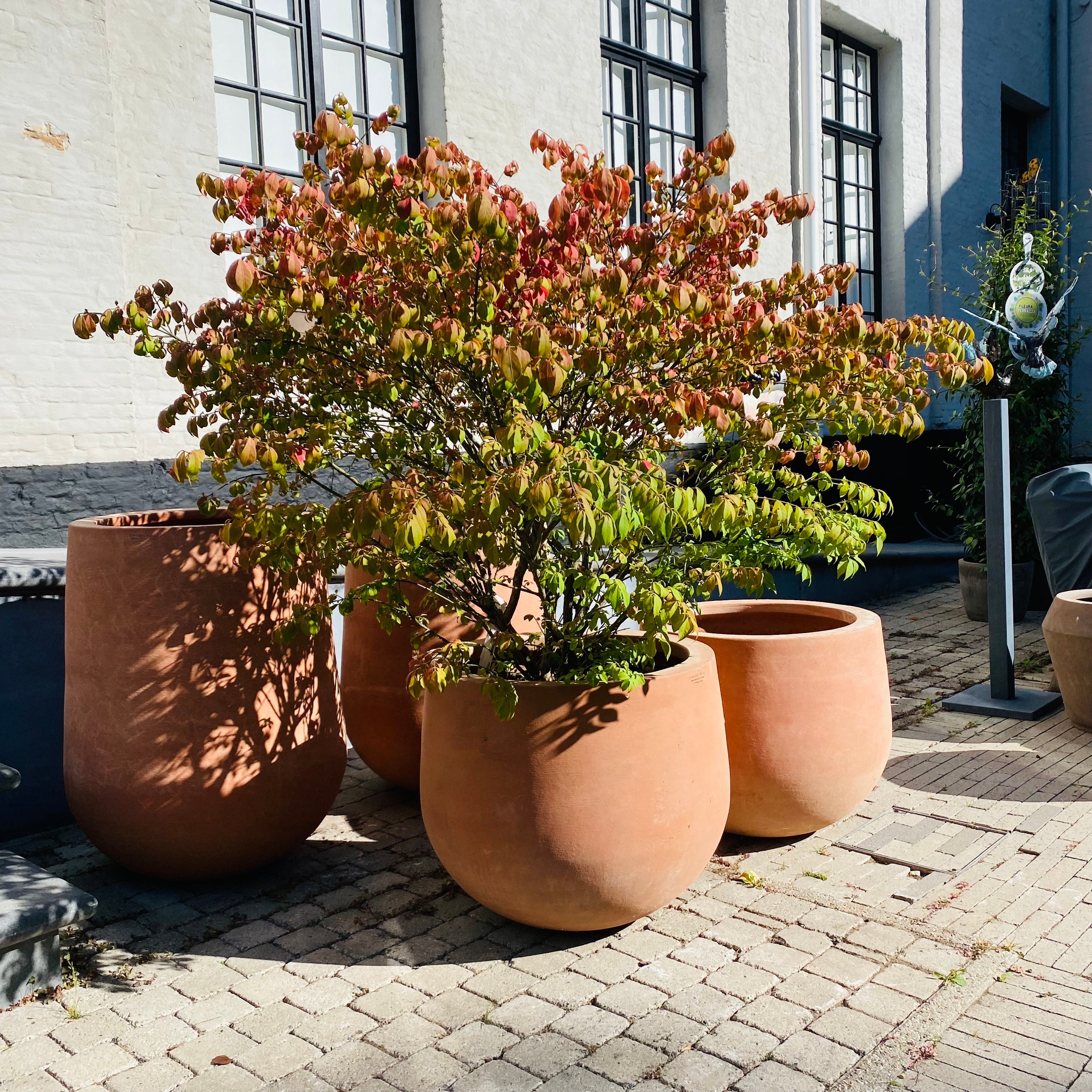 Terracotta d'Arte Mortaio Pot