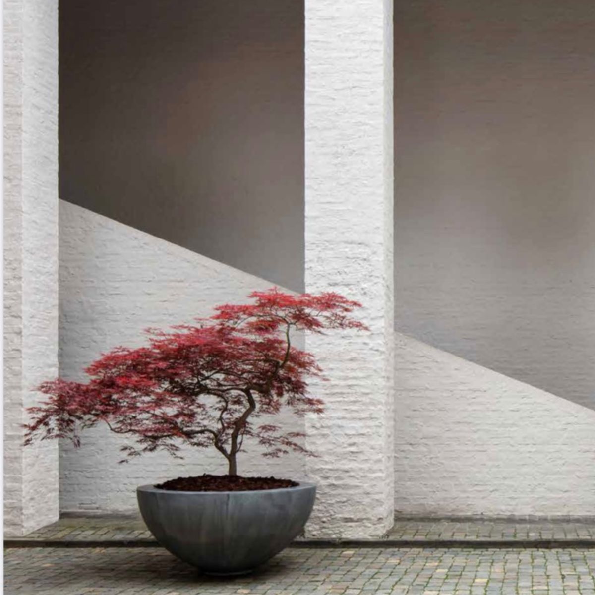 Domani Zinc Pot Half Bowl