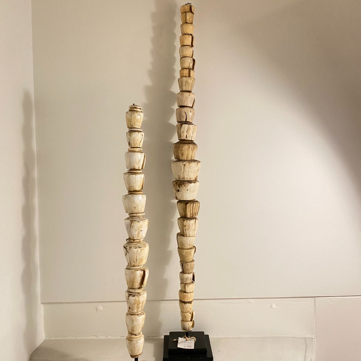 Money Sticks (full shell)