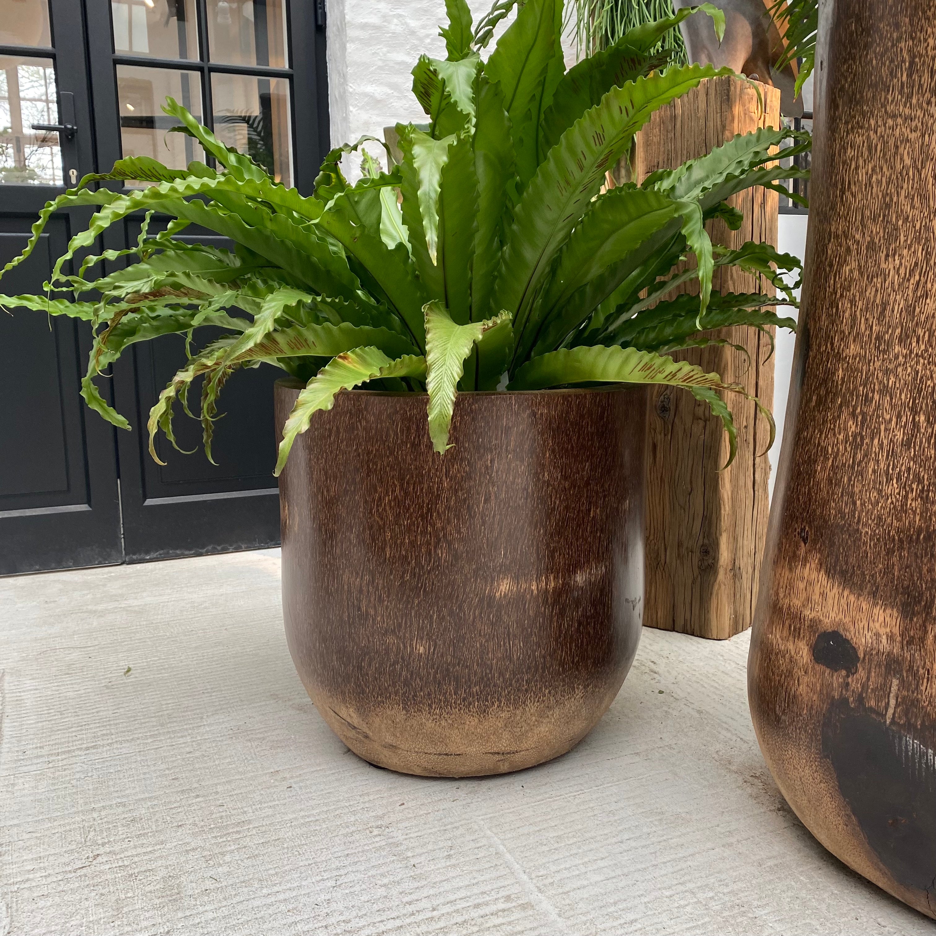 Warehouse Breit Palm Pot brown