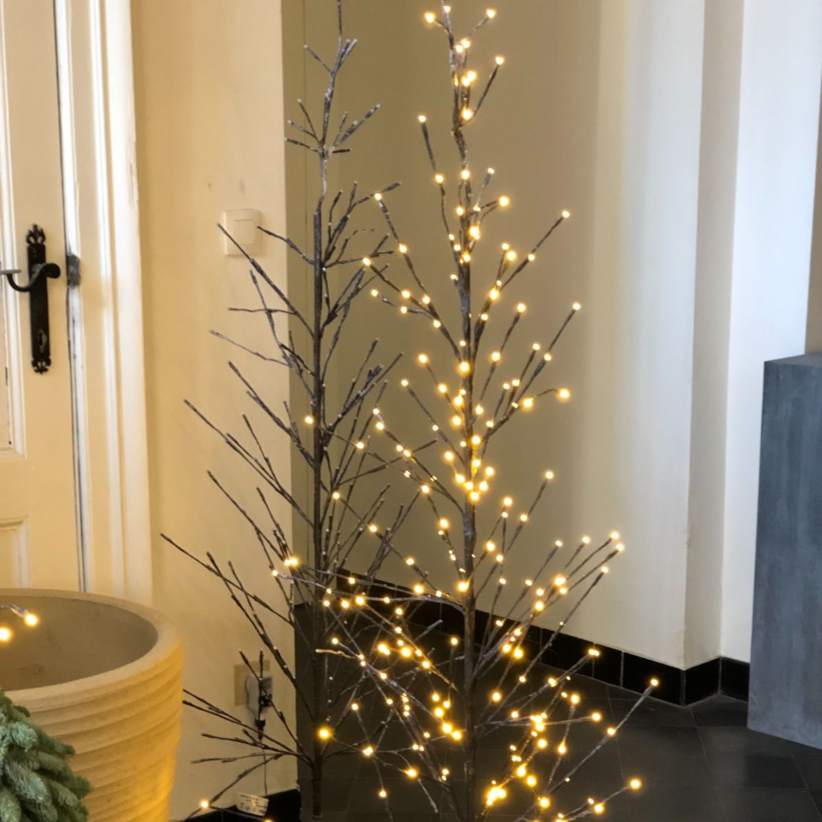 Twinkling tree branch