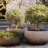 Terracotta d'Arte pot Caspo Basso