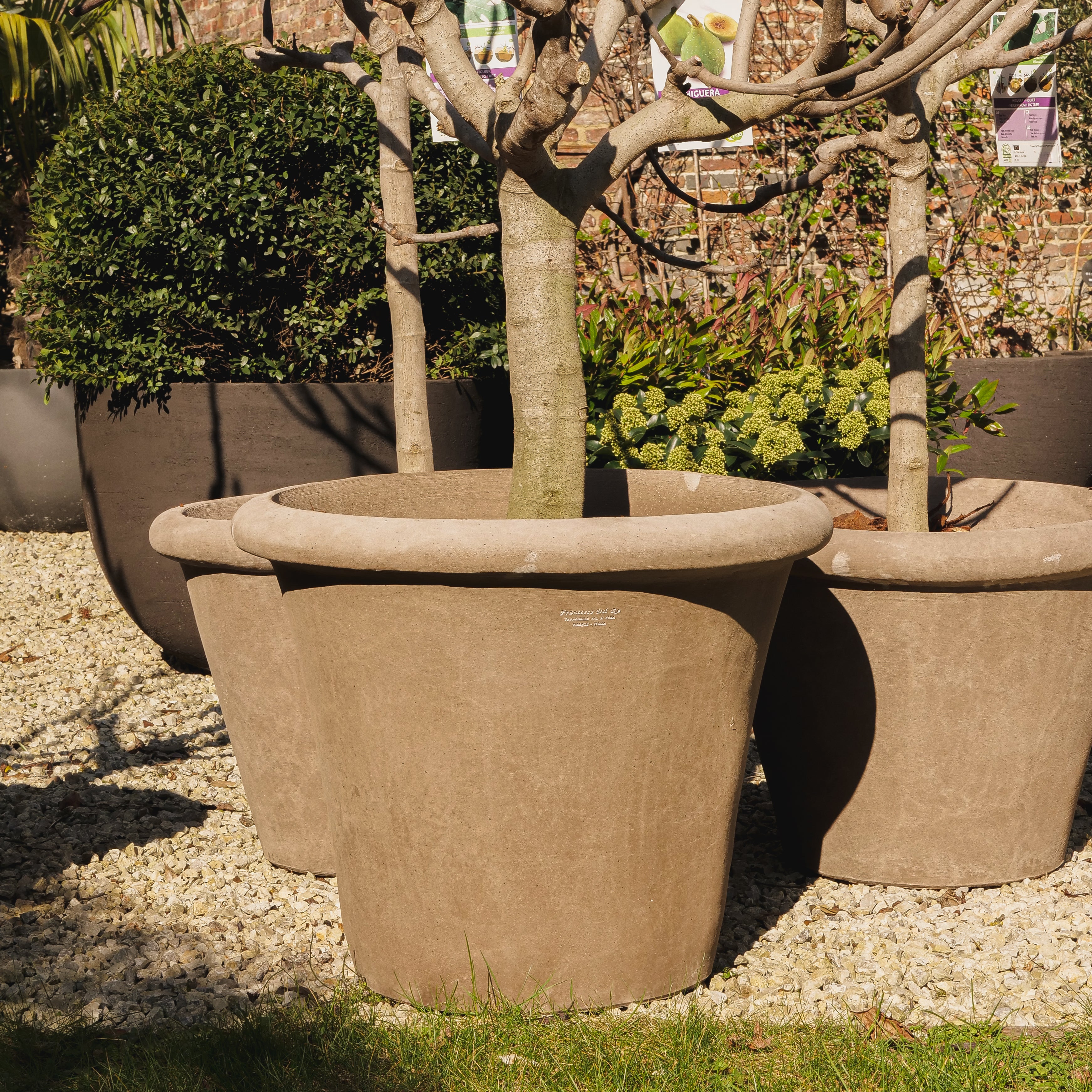 Terracotta d'Arte Conca Alta Liscia pot