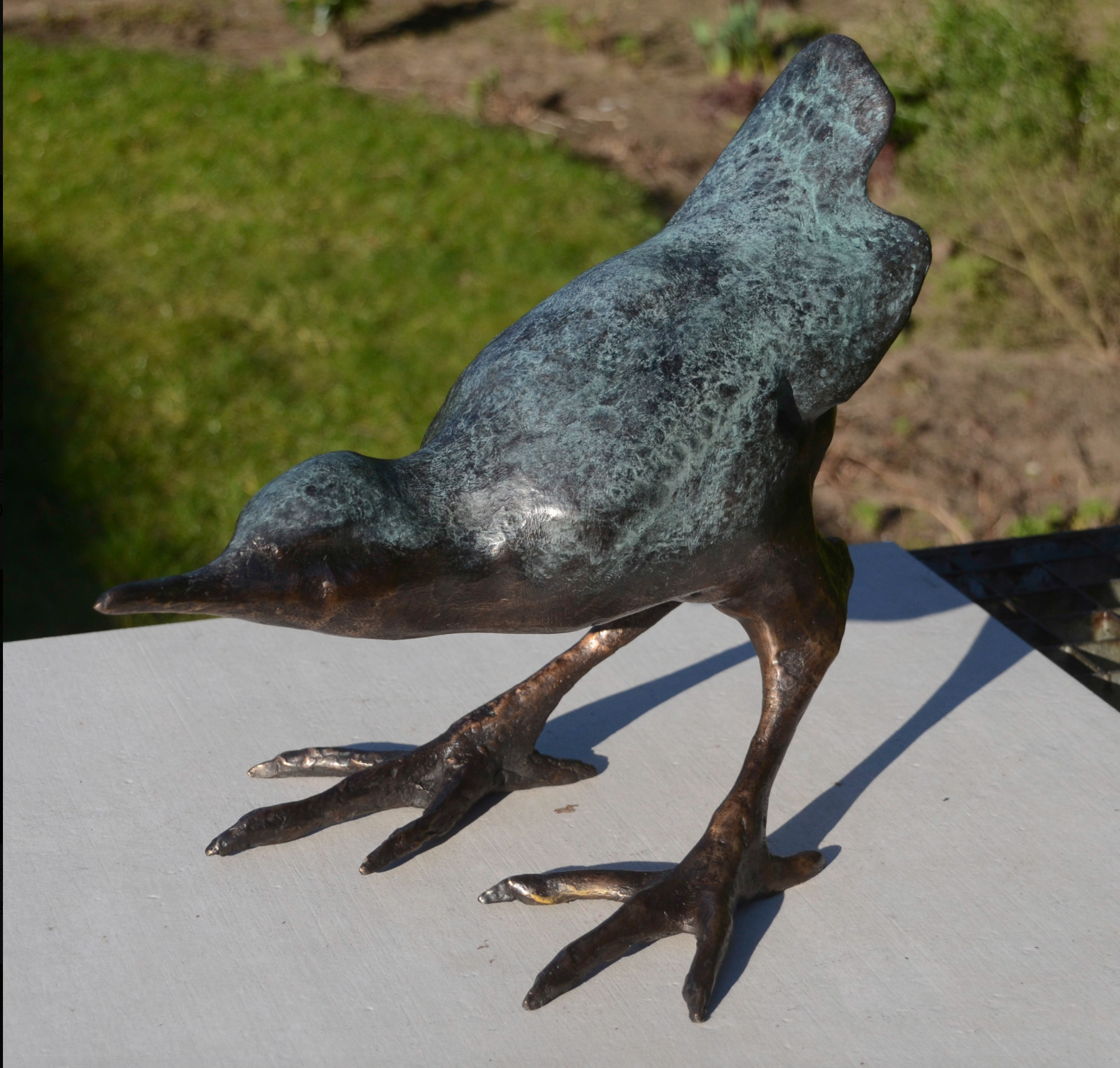 Jonneke Kodde - Birdy