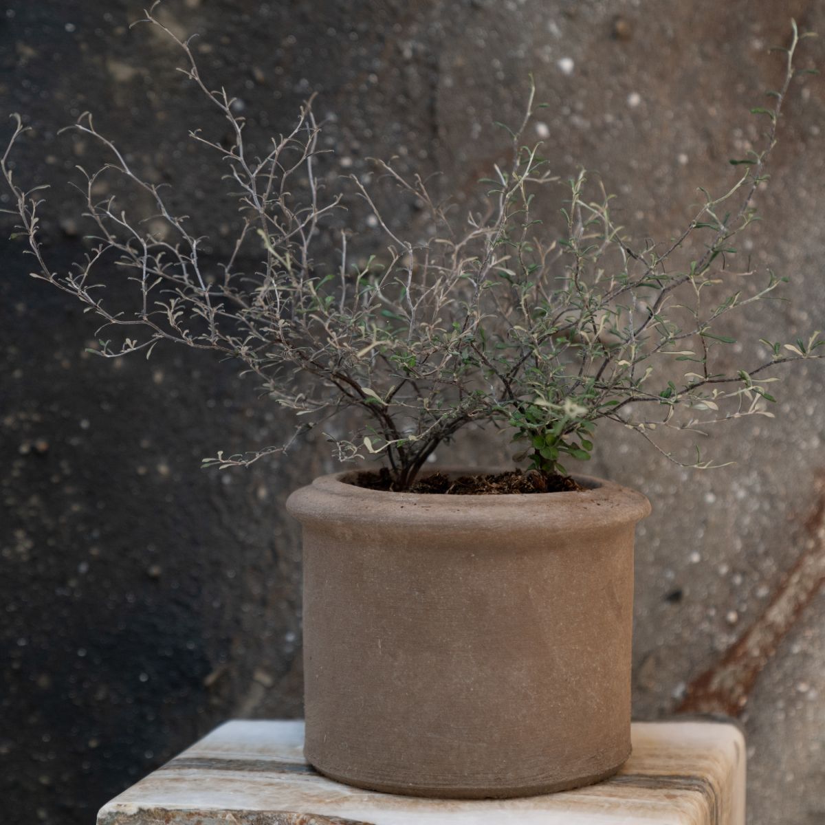 Terracotta d'Arte pot I Piccini Cilindrini