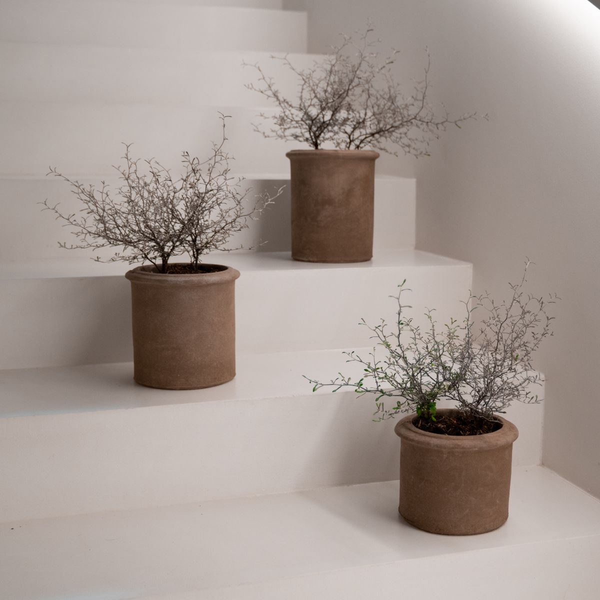 Terracotta d'Arte pot I Piccini Cilindrini