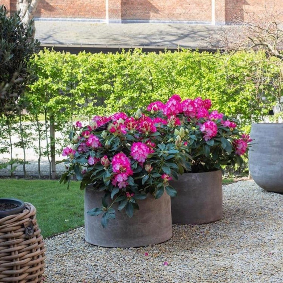 Terracotta d'Arte pot Tube
